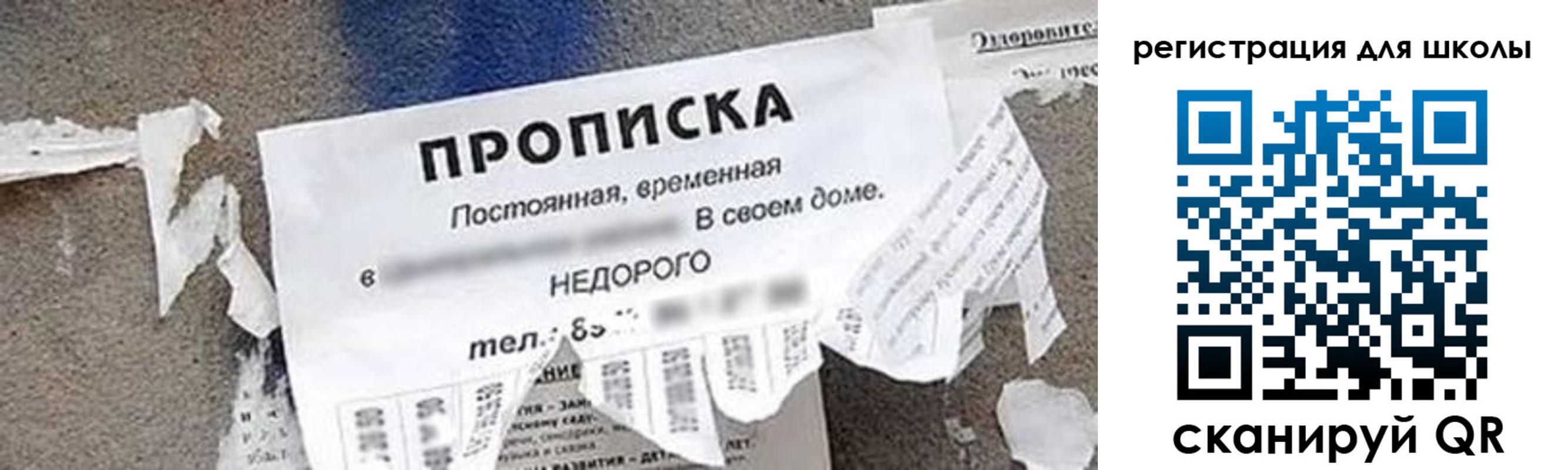 временная регистрация поиск в Курской области
